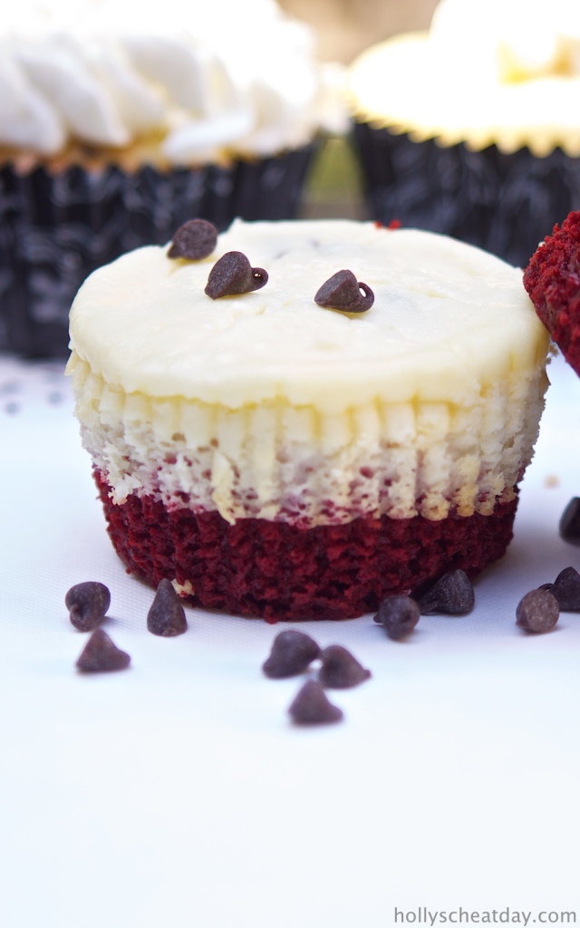 mini-chocolate-chip-cheesecakes  | hollyscheatday.com