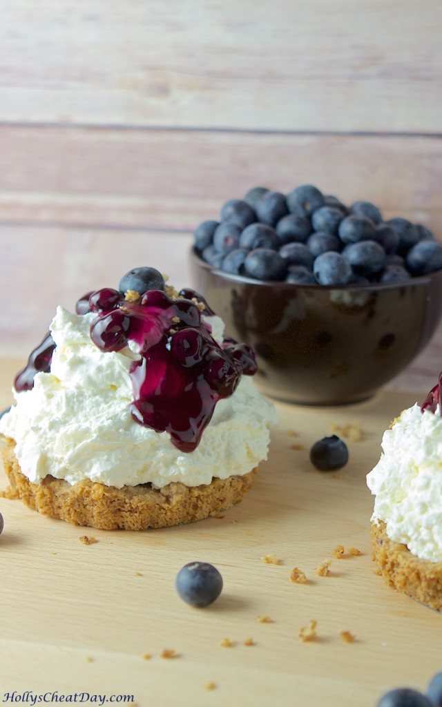 no-bake-blueberry-cheesecake | HollysCheatDay.com