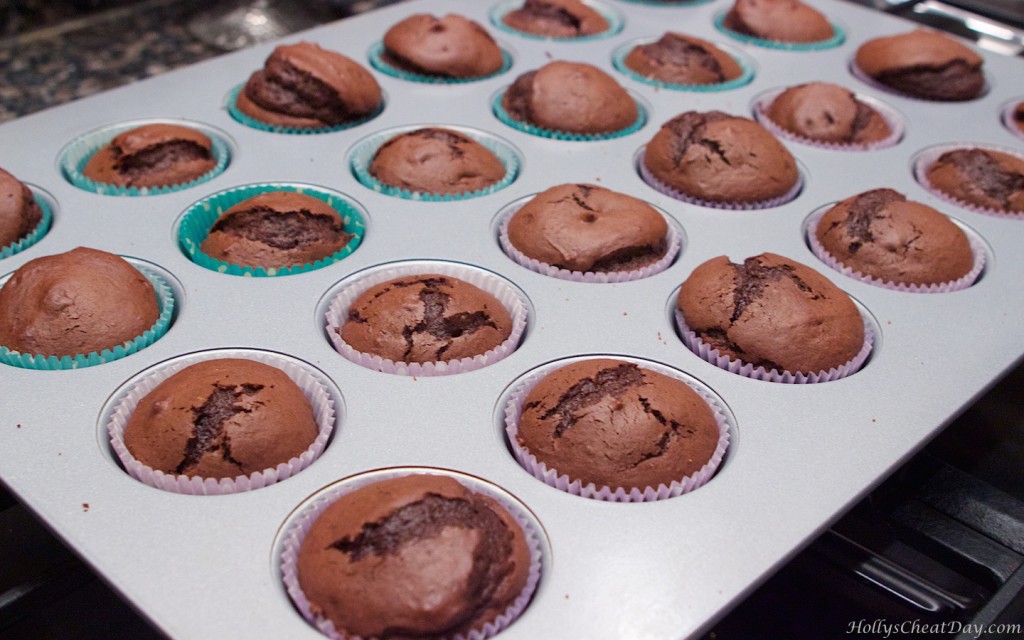 smores-cupcakes| HollysCheatDay.com