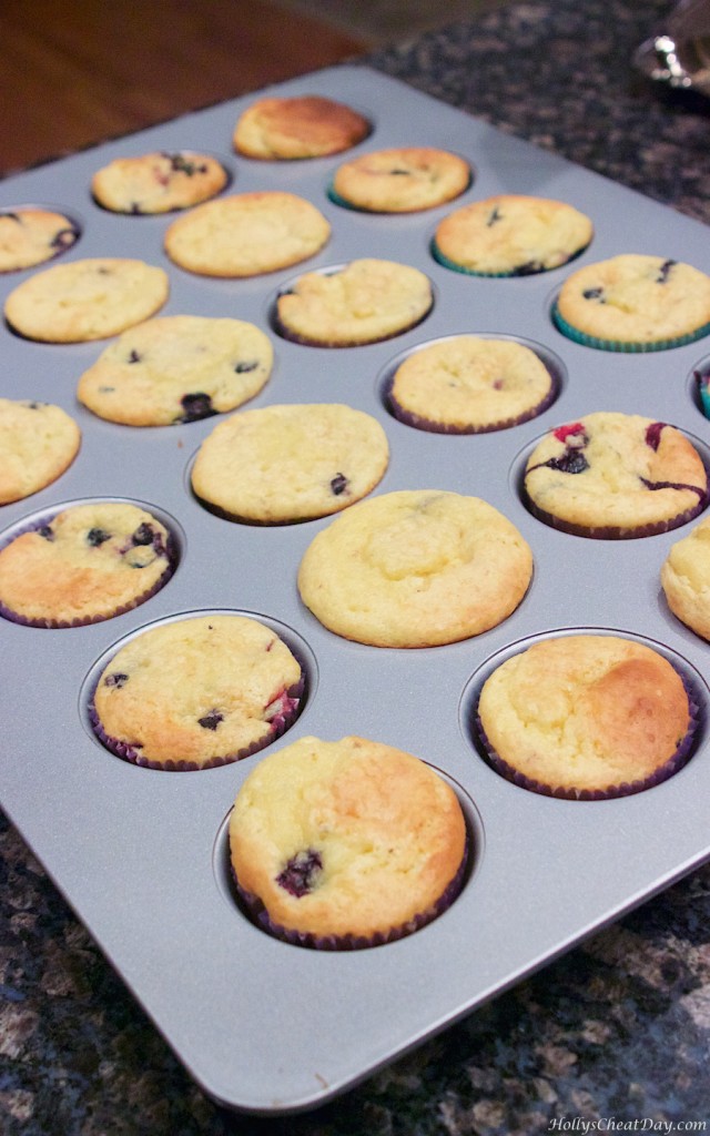 easy-blueberry-cupcakes| HollysCheatDay.com